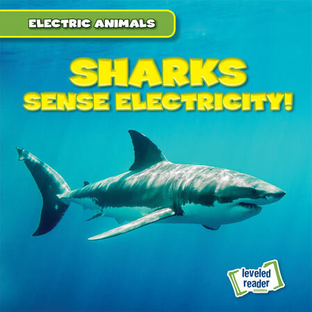 Sharks Sense Electricity! by Louis Mallory, 9781538293027