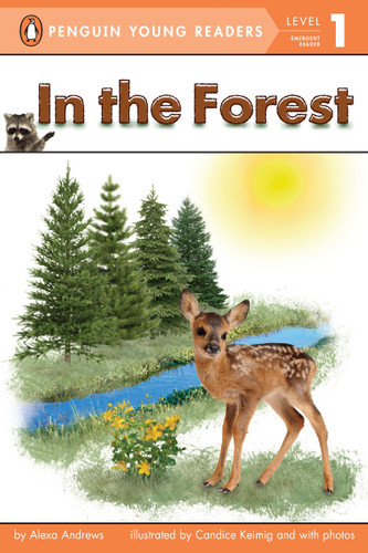 In the Forest by Alexa Andrews, Candice Keimig, 9780448467191