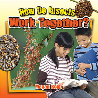 How Do Insects Work Together? by Megan Kopp, 9780778719724