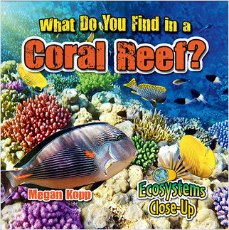 What Do You Find in a Coral Reef? - 9780778722779 by Megan Kopp, 9780778722779