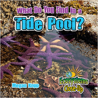 What Do You Find in a Tide Pool? - 9780778722878 by Megan Kopp, 9780778722878