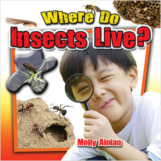 Where Do Insects Live? - 9780778712848 by Molly Aloian, 9780778712848