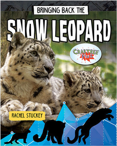 Bringing Back the Snow Leopard by Rachel Stuckey, 9780778763239 Bringing Back the Snow Leopard by Rachel Stuckey, 9780778763239