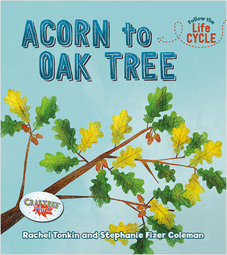 Acorn to Oak Tree - 9780778763871 by Rachel Tonkin, Stephanie Fizer Coleman, 9780778763871