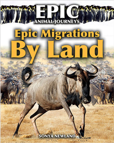 Epic Migrations by Land - 9780778763727 by Sonya Newland, 9780778763727