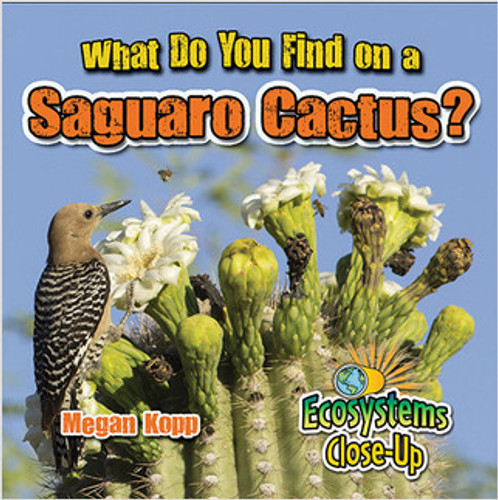 What Do You Find on a Saguaro Cactus? by Megan Kopp, 9780778722656