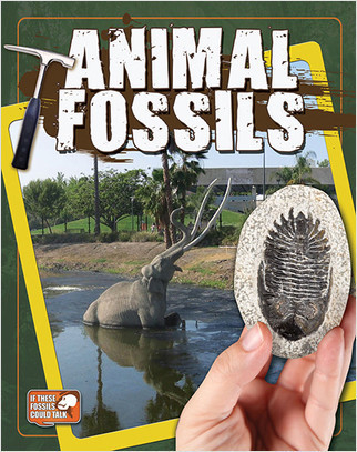 Animal Fossils by Natalie Hyde, 9780778712619