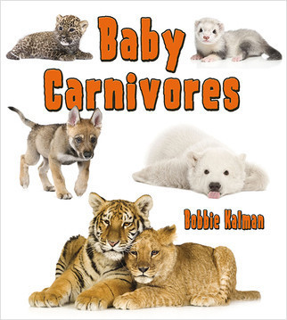 Baby Carnivores by Bobbie Kalman, 9780778710103