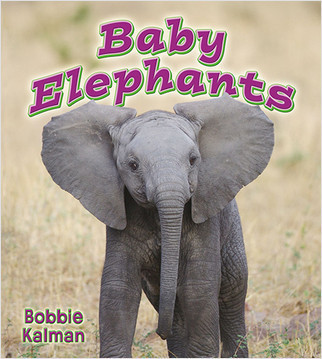Baby Elephants - 9780778739784 by Bobbie Kalman, 9780778739784