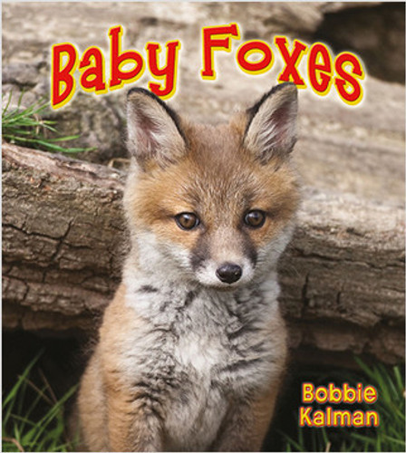 Baby Foxes - 9780778739791 by Bobbie Kalman, 9780778739791