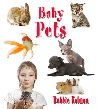 Baby Pets - 9780778740803 by Bobbie Kalman, 9780778740803