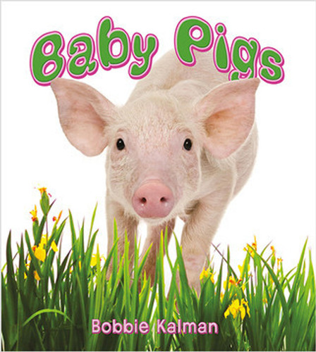 Baby Pigs - 9780778739814 by Bobbie Kalman, 9780778739814