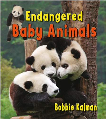 Endangered baby animals - 9780778740810 by Bobbie Kalman, 9780778740810