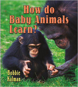 How do baby animals learn? by Bobbie Kalman, 9780778740827