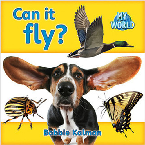 Can it fly? by Bobbie Kalman, 9780778795278