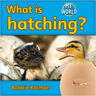 What is hatching? - 9780778795094 by Bobbie Kalman, 9780778795094
