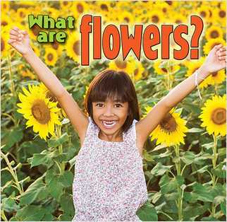 What are flowers? by Kelley MacAulay, 9780778700166