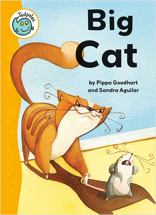 Big Cat by Pippa Goodhart, 9780778705857