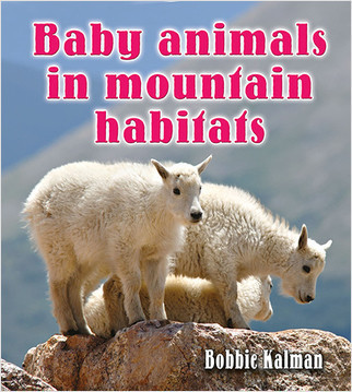 Baby animals in mountain habitats - 9780778777410 by Bobbie Kalman, 9780778777410