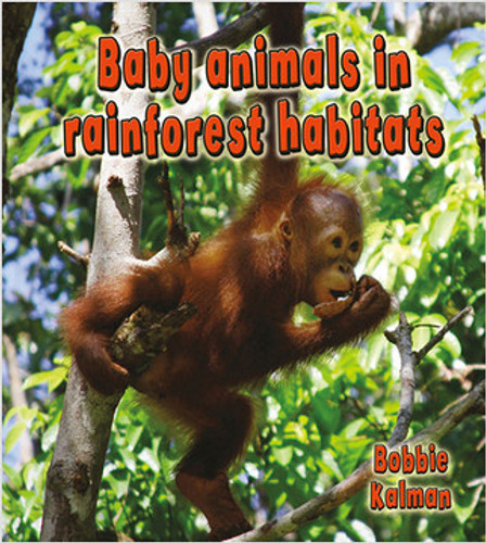 Baby animals in rainforest habitats by Bobbie Kalman, 9780778777458