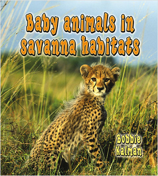 Baby animals in savanna habitats by Bobbie Kalman, 9780778777465