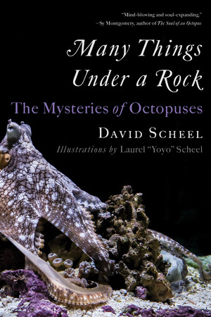 Many Things Under a Rock (The Mysteries of Octopuses) - 9781324076292 by David Scheel, Laurel "Yoyo" Scheel, 9781324076292