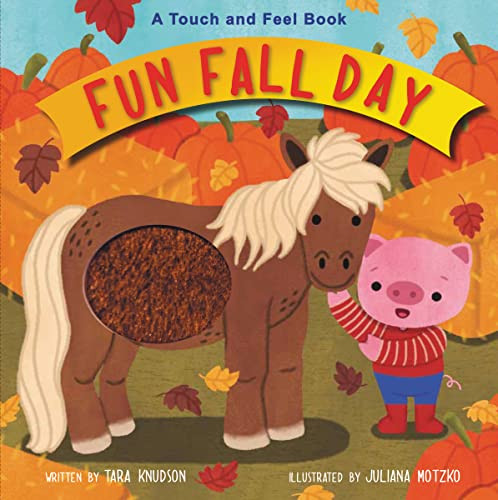 Fun Fall Day (A Touch and Feel Board Book) by Tara Knudson, Juliana Motzko, 9780310770213