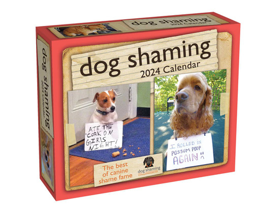Dog Shaming 2024 Day-to-Day Calendar by Pascale Lemire, dogshaming.com, 9781524881238