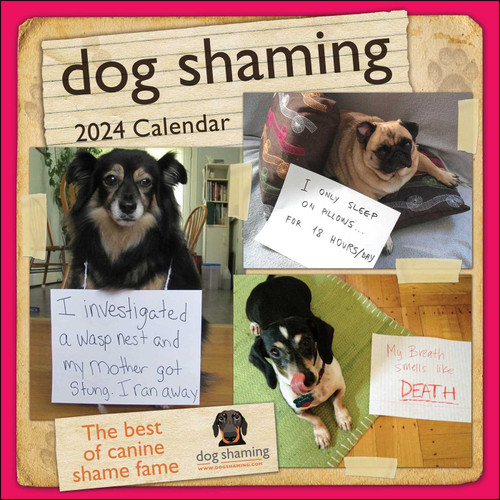 Dog Shaming 2024 Wall Calendar by Pascale Lemire, dogshaming.com, 9781524881245