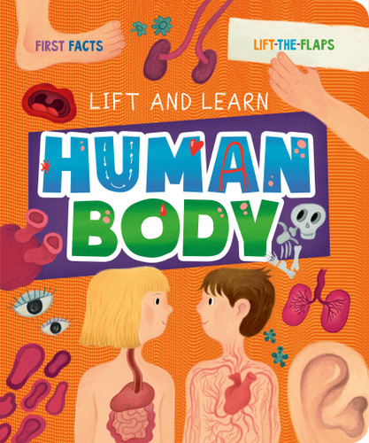 Human Body (First Facts; Lift the Flaps) by Clever Publishing, Olga Demidova, 9798888670880 Human Body (First Facts; Lift the Flaps) by Clever Publishing, Olga Demidova, 9798888670880