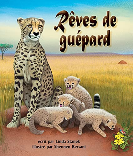 Rêves de guépard (Cheetah Dreams in French) by Linda Stanek, Shennen Bersani, Sophie Troff, 9781643515892