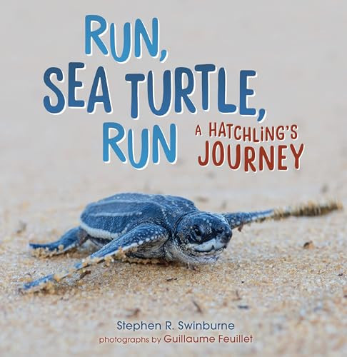 Run, Sea Turtle, Run (A Hatchling's Journey) - 9781728477749 by Stephen R. Swinburne, 9781728477749