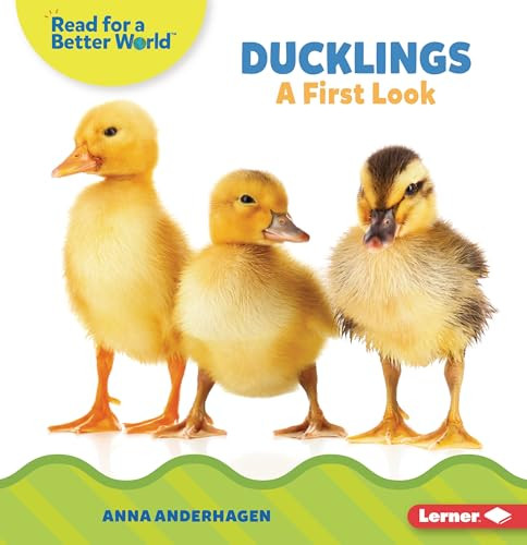 Ducklings (A First Look) - 9798765629482 by Anna Anderhagen, 9798765629482