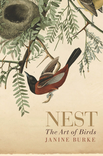Nest (The Art of Birds) by Janine Burke, 9781742378299