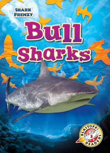 Bull Sharks - 9781644874387 by Rebecca Pettiford, 9781644874387