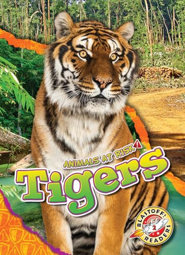 Tigers - 9781644875926 by Rachel Grack, 9781644875926