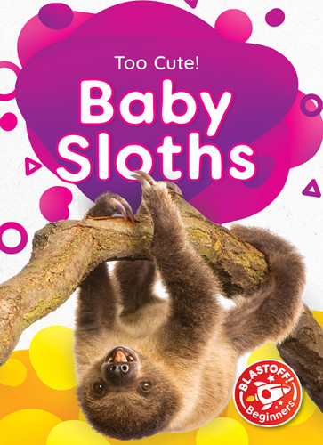 Baby Sloths - 9781644876725 by Rachael Barnes, 9781644876725