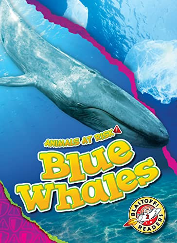 Blue Whales - 9781644877104 by Rachel Grack, Dana Fleming, 9781644877104