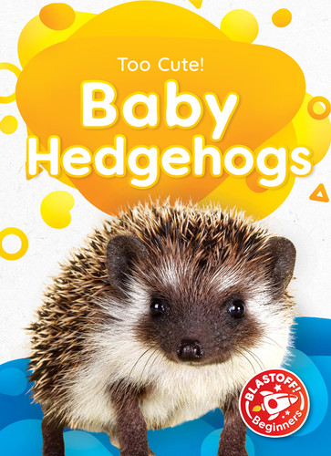 Baby Hedgehogs by Dana Fleming, Elizabeth Neuenfeldt, 9798886871081