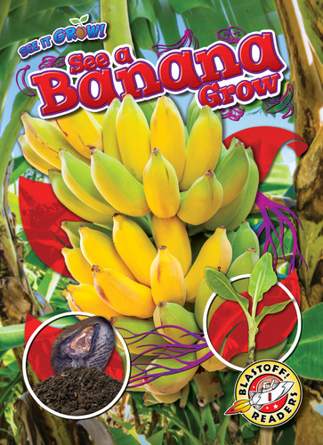 See a Banana Grow by Dana Fleming, Kirsten Chang, 9798886871128