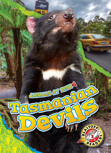 Tasmanian Devils - 9798886871210 by Dana Fleming, Rachel Grack, 9798886871210