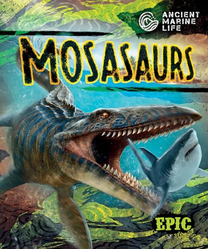 Mosasaurs by Kate Moening, Mat Edwards, Dana Fleming, 9798886871715