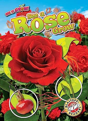 See a Rose Grow by Kirsten Chang, Dana Fleming, 9798886874099