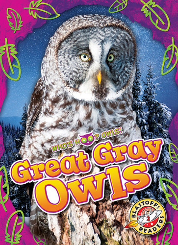 Great Gray Owls - 9798886874150 by Dana Fleming, Rachael Barnes, 9798886874150