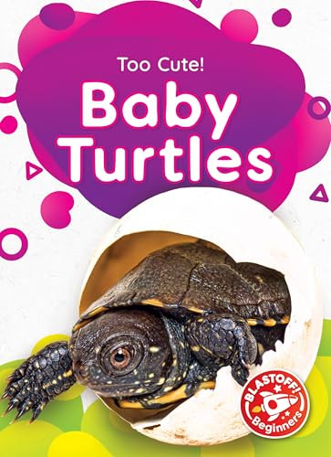 Baby Turtles - 9798886877755 by Elizabeth Neuenfeldt, 9798886877755