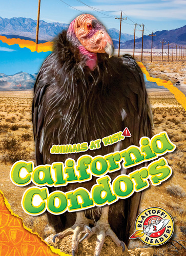 California Condors - 9798886877878 by Rachel Grack, 9798886877878