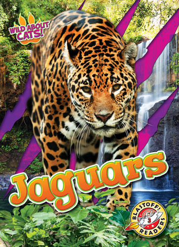 Jaguars - 9798886878035 by Alicia Z. Klepeis, 9798886878035