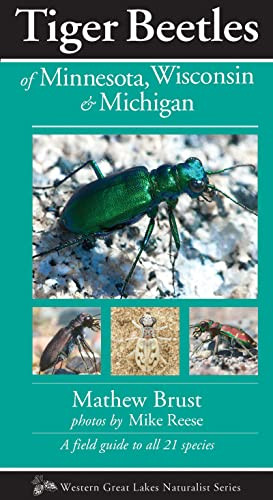 Tiger Beetles of Minnesota, Wisconsin & Michigan by Mathew Brust, Mike Reese, 9781936571123