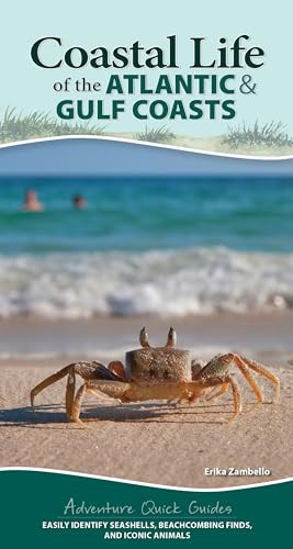Coastal Life of the Atlantic and Gulf Coasts (Easily Identify Seashells, Beachcombing Finds, and Iconic Animals) by Erika Zambello, 9781647551872