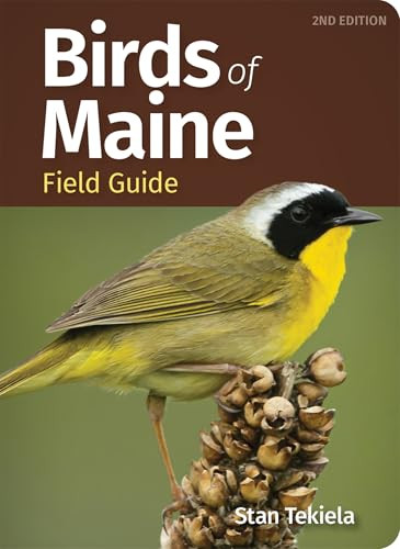 Birds of Maine Field Guide (Miniature Edition) by Stan Tekiela, 9781647553685